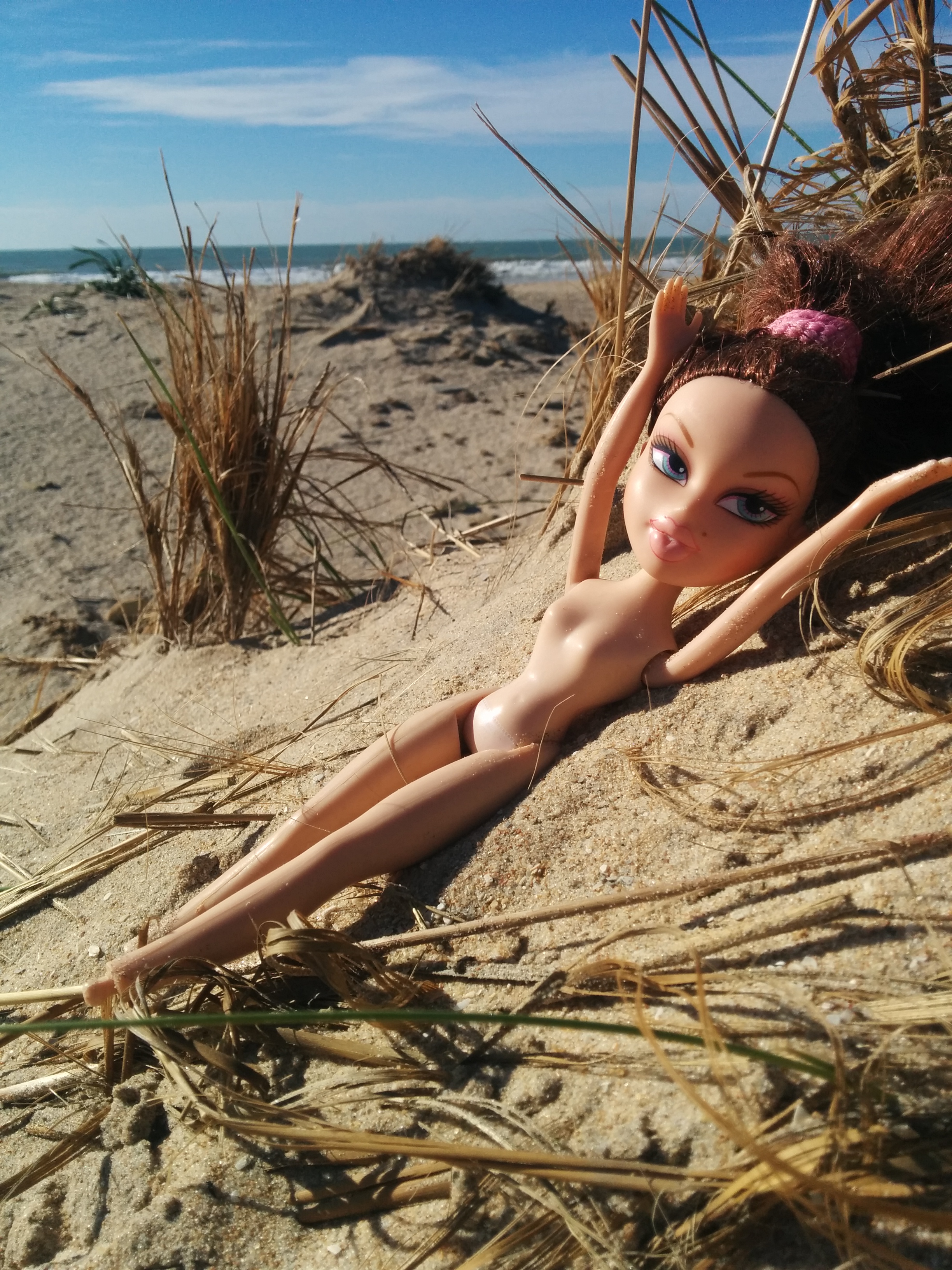 Abandonada en la playa, sobrevivía.